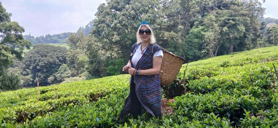 Kaimbethu tea farm tour and lunch package - Key points to know before you go