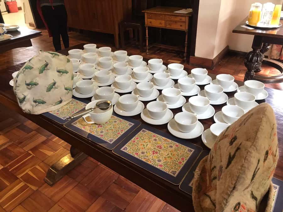 Kaimbethu tea farm tour and lunch package - Walking through tea plants and indigenous forest