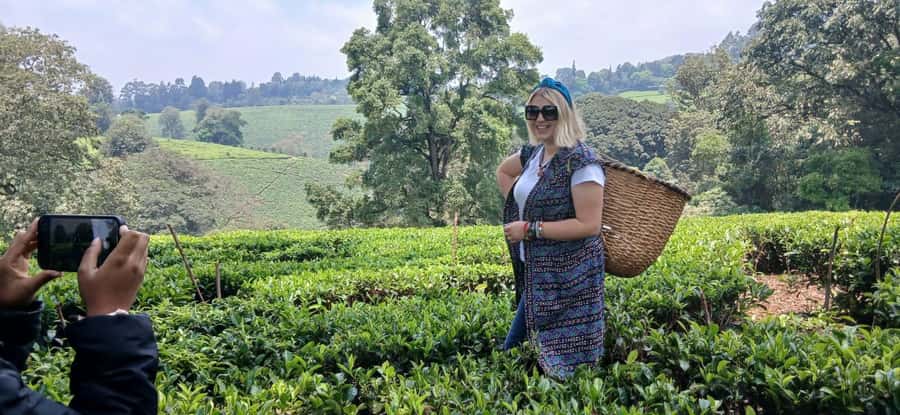 Kaimbethu tea farm tour and lunch package - A lunch that makes the day feel like a visit
