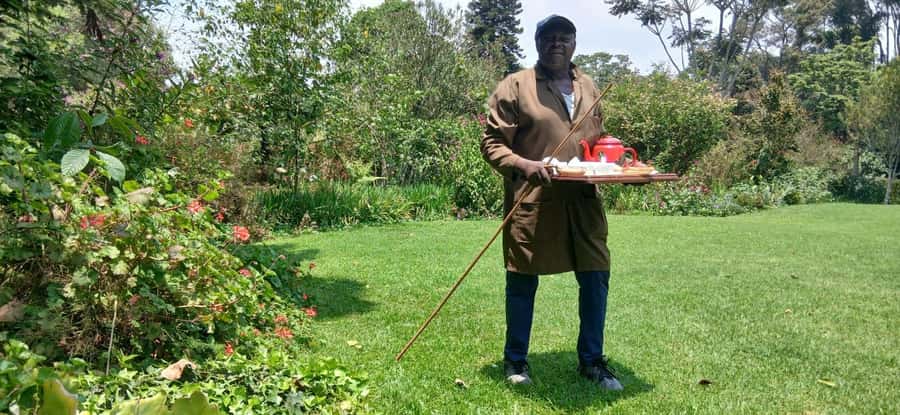Kaimbethu tea farm tour and lunch package - Is $50 good value?
