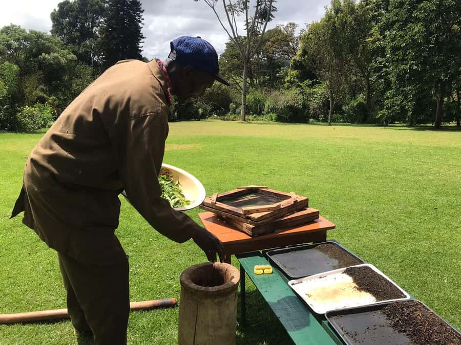 Kaimbethu tea farm tour and lunch package - Tea, biscuits, and the story of a Kenyan farm