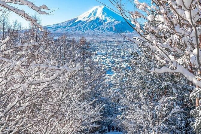 Kamkura: Private Zazen, Matcha at Bamboo Temple & Mindful Cuisine - What the $170 price really covers