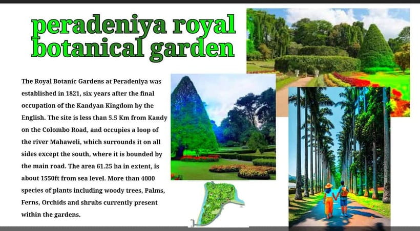Kandy: City Tour with Temple of the Tooth & Tea Garden - Key points to know before you book
