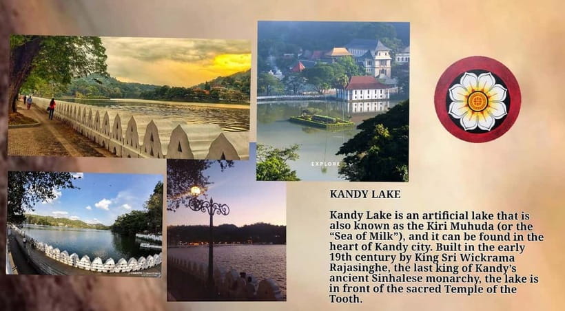 Kandy: City Tour with Temple of the Tooth & Tea Garden - The British-era botanical garden and university visit