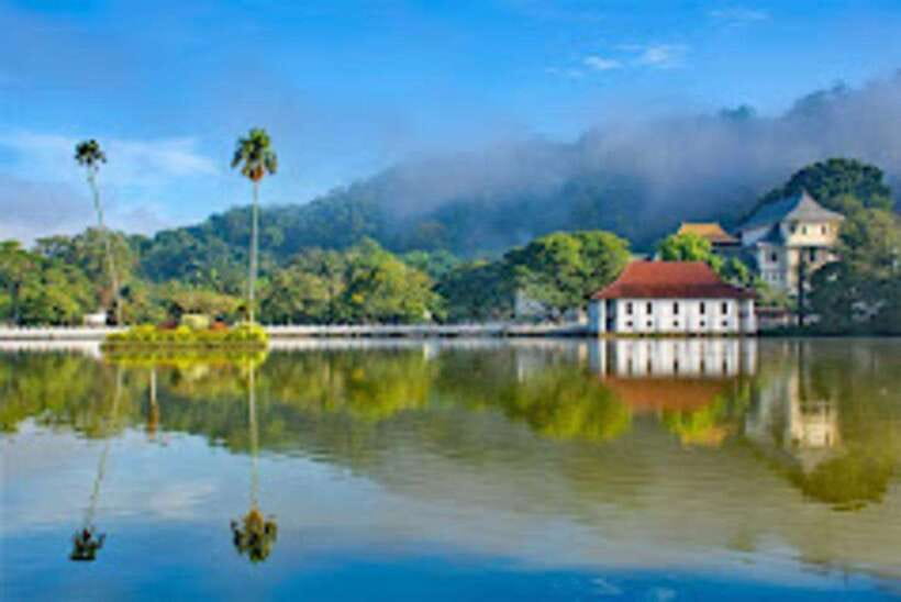 Kandy & Pinnawala & Tea Factory Full Day Tour From Negombo - What the $49 price really covers