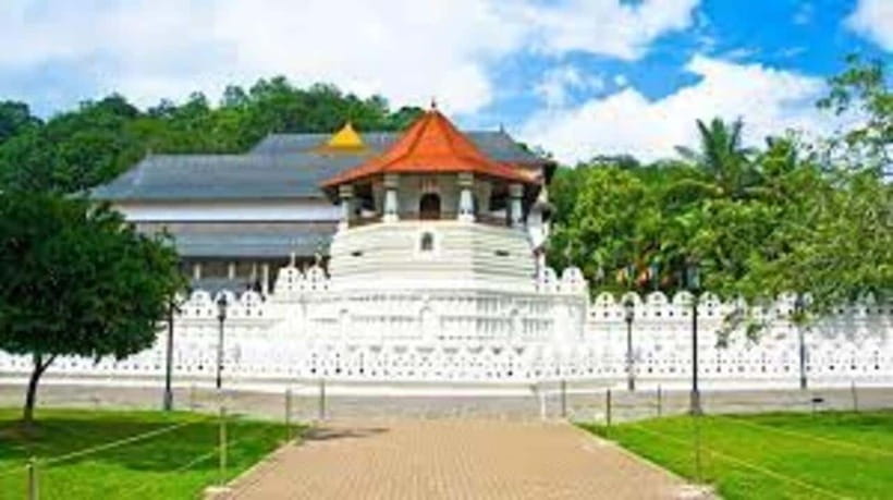 Kandy & Pinnawala & Tea Factory Full Day Tour From Negombo - The tea factory is one of the best uses of your time