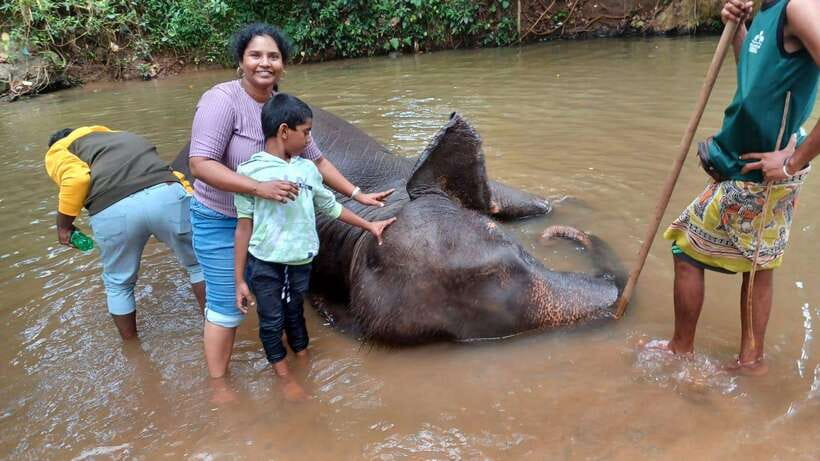 Kandy & Pinnawala & Tea Factory Full Day Tour From Negombo - Kadugannawa Railway Museum and the road into the hills