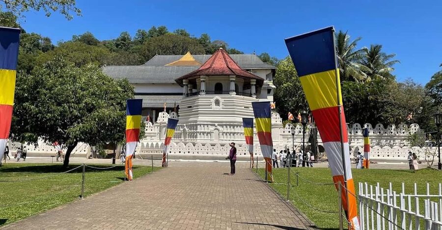 Kandy & Pinnawala & Tea Factory Full Day Tour From Negombo - Royal Botanical Garden: allow time for the best outdoor stop