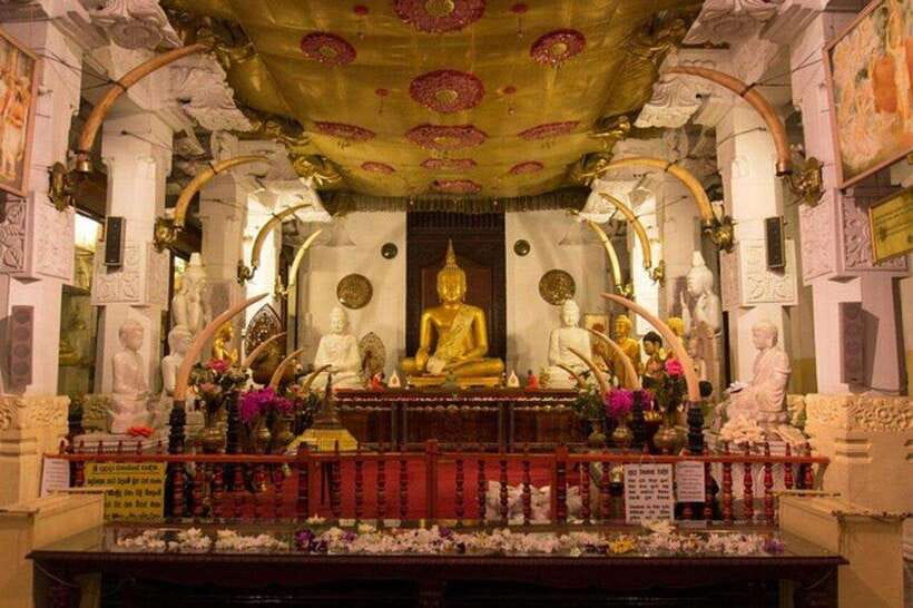 Kandy & Pinnawala & Tea Factory Full Day Tour From Negombo - Kandy Lake, the cultural show, and the evening return