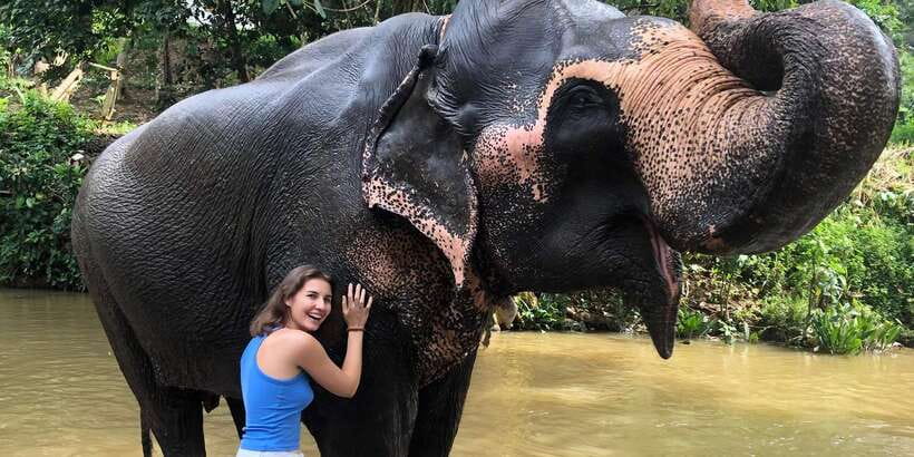 Kandy privet day tour with pinnawala and Tea plantation - Key points to know