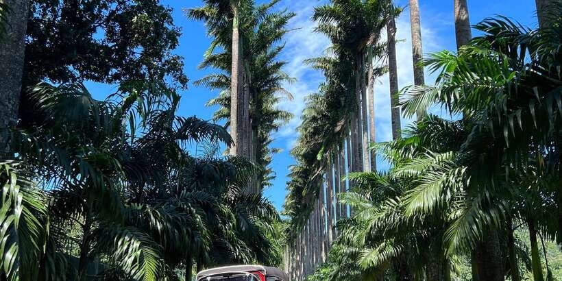 Kandy privet day tour with pinnawala and Tea plantation - Bahirawakanda Temple and the city view