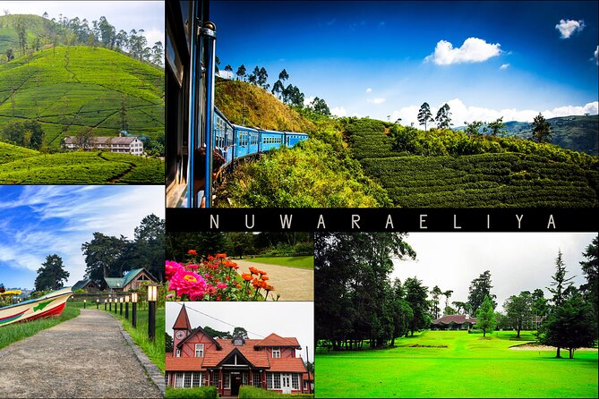 Kandy to Nuwara Eliya Day Trip – Little England & Tea Country - Key points to know before you book