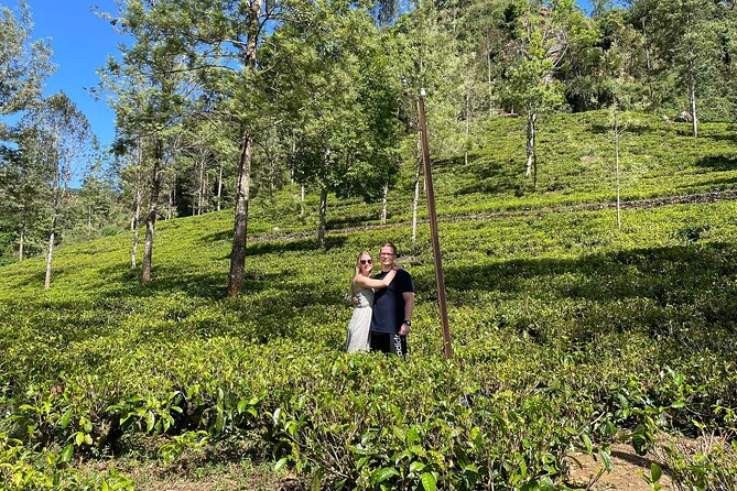 Kandy to Nuwara Eliya Day Trip – Little England & Tea Country - Gregory Lake and Nuwara Eliya’s cool-climate character