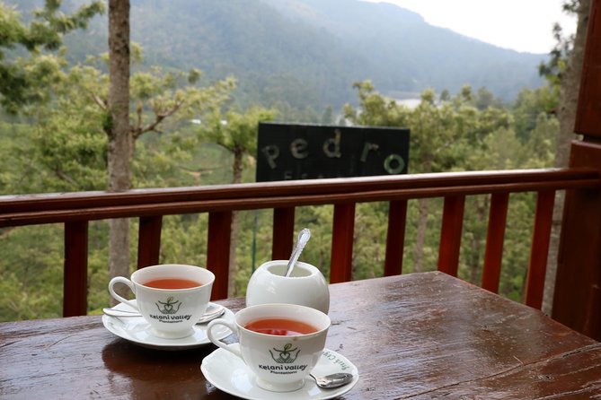 Kandy to Nuwara Eliya Day Trip – Little England & Tea Country - Victoria Park and the Nuwara Eliya Racecourse
