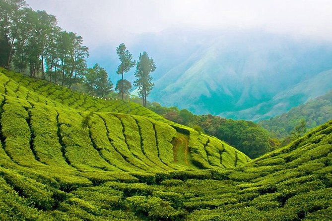 Kandy to Nuwara Eliya Day Trip – Little England & Tea Country - Ramboda Waterfall and the one active stretch