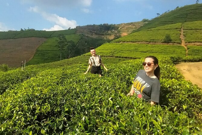 Kandy to Nuwara Eliya Private Day Tour: Tea Factory& Gregory Lake - Key points to know before booking
