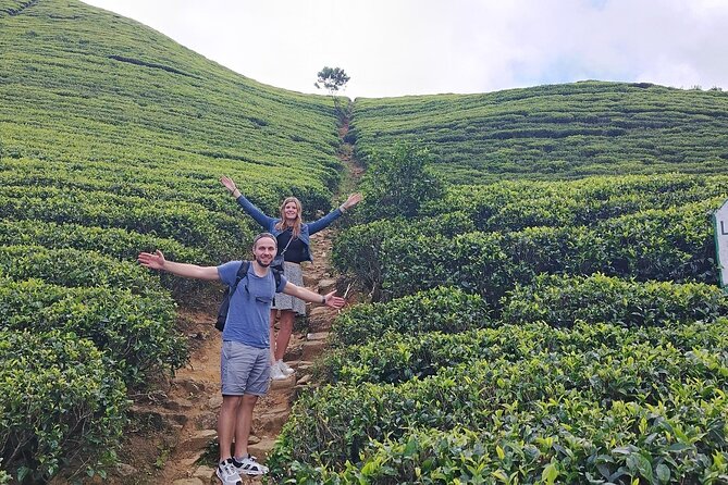 Kandy to Nuwara Eliya Private Day Tour: Tea Factory& Gregory Lake - The guide can shape the whole day
