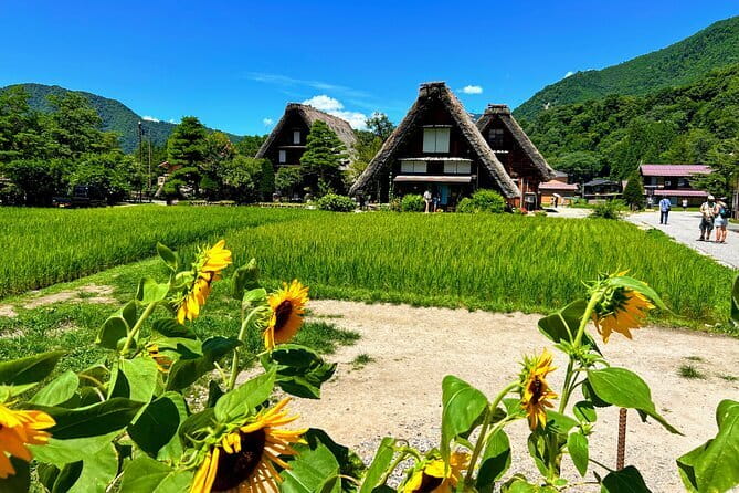 Kenrokuen Tea Ceremony Experience in Kanazawa - What the teaching style appears to do well