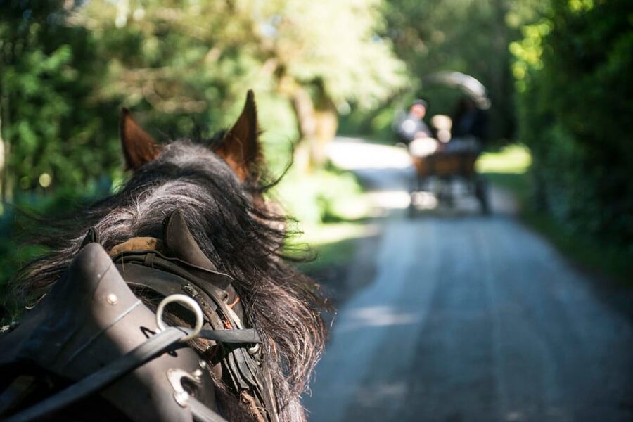 Killarney: Jaunting Car Tour with Afternoon Tea - Entering Killarney National Park