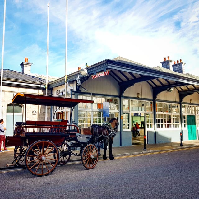 Killarney: Jaunting Car Tour with Afternoon Tea - Ross Castle and the O’Donoghue legends