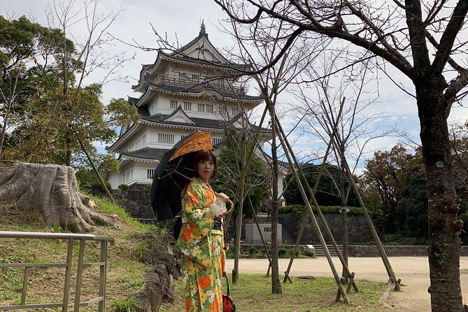 Kimono Dressing & Tea Ceremony Experience at a Beautiful Garden - Who should book this experience