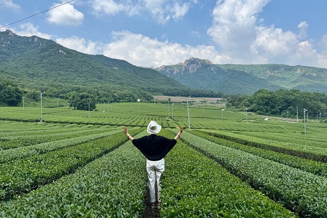 Korean Green Tea Tour - from Boseong to Gangjin (Private) - What makes this tea day different
