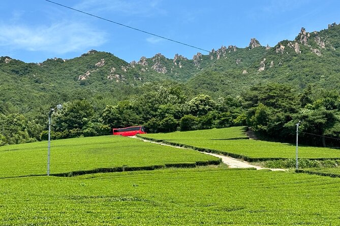 Korean Green Tea Tour - from Boseong to Gangjin (Private) - Daehan Dawon, Boseong’s classic tea view