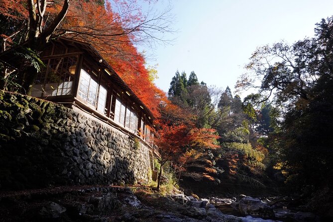 Kyoto Hidden Riverside Zen Mediation and Uji Matcha Experience - Is $105 a fair price?
