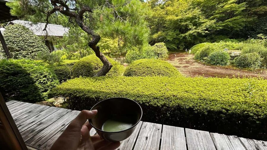 Kyoto: Shakyo & Matcha in Historic Temple Garden - Why this Kyoto experience feels different