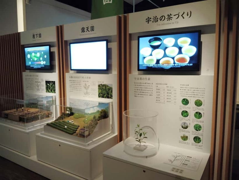 Kyoto: Tea Museum and Tsuen Teahouse Guided Tour - Walking from modern Chazuna to historic Tsuen
