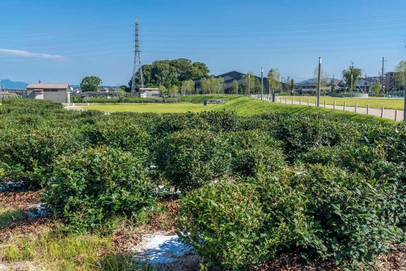 Kyoto: Tea Museum Tickets and Matcha Grinding Experience - Booking, changes, and accessibility