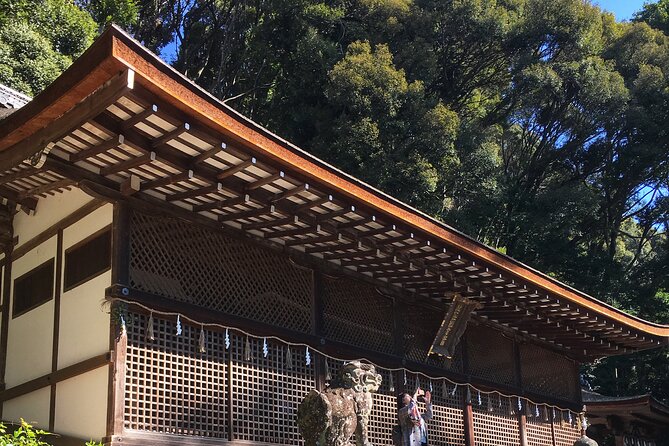Kyoto tea town for matcha lovers - Tea fields and the people behind the cup