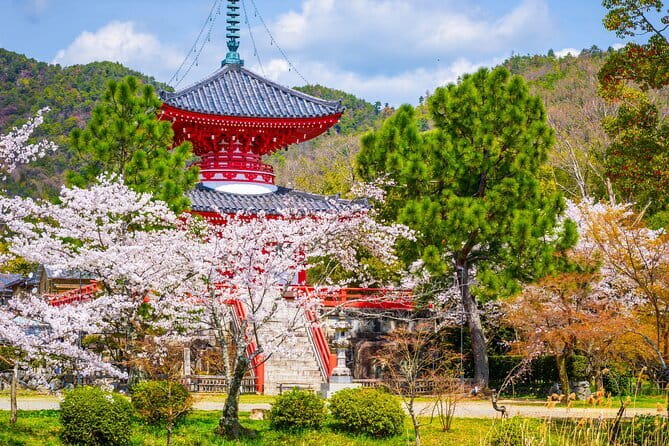 Kyoto WAKIMIZU Half Day Tour: Secrets of Matcha & Wagashi Sweets - Who will enjoy this Kyoto walk