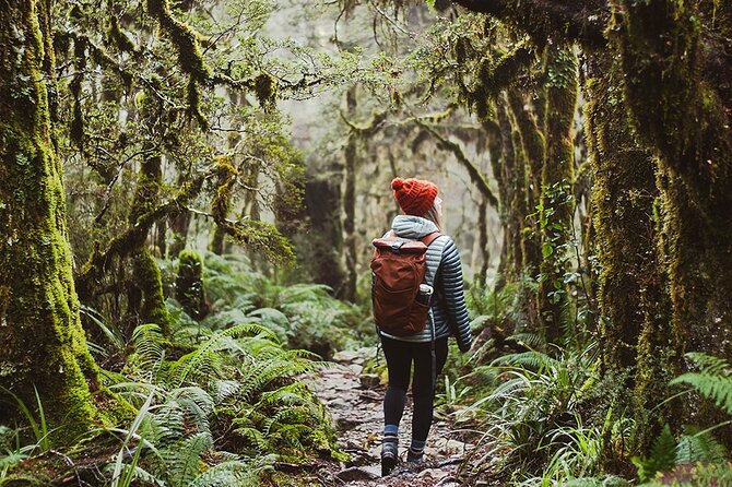 Lake Marian Guided Hike with Transfers, Lunch & Morning Tea - Why Lake Marian Makes a Worthwhile Day Out
