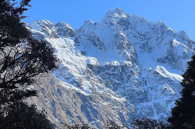 Lake Marian Guided Hike with Transfers, Lunch & Morning Tea - Morning Tea, Fresh Baking, and Picnic Lunch