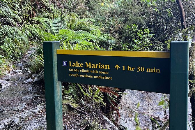 Lake Marian Guided Hike with Transfers, Lunch & Morning Tea - Fitness, Equipment, and Weather Planning