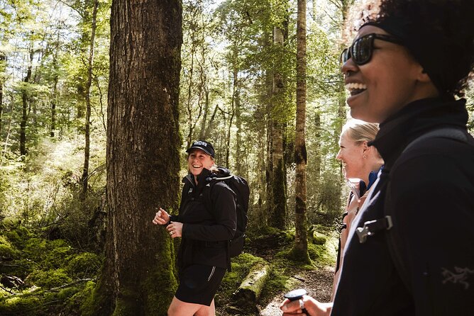 Lake Marian Guided Hike with Transfers, Lunch & Morning Tea - The Milford Road Transfer to Fiordland