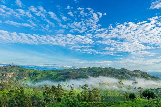 Lipton's Seat and Tea Factory,Trail Amidst Tea Plantation Day Tour - Key points at a glance