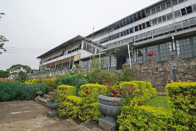 Lipton's Seat and Tea Factory,Trail Amidst Tea Plantation Day Tour - Tea, a café stop, and the return to Ella