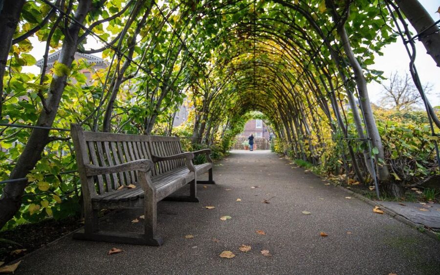 London Afternoon Tea, Fast-Track Kensington Palace Tickets - Why afternoon tea works so well at Kensington Palace