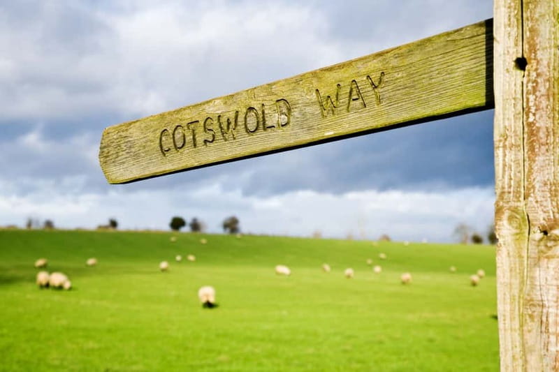 London: Cream Tea at Blenheim Palace & the Cotswolds Tour - Should you book this Blenheim Palace and Cotswolds tour?