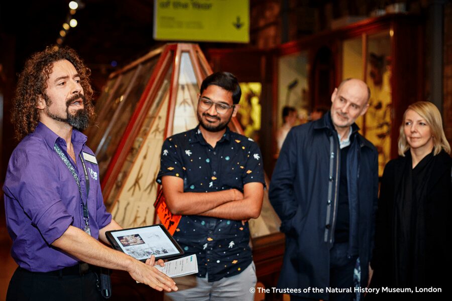 London: Natural History Museum Guided Tour & Afternoon Tea - Why this two-hour combination works
