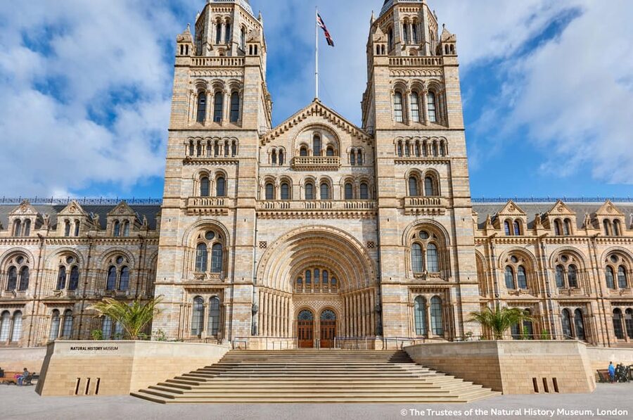 London: Natural History Museum Guided Tour & Afternoon Tea - An hour with Fern, Hope, and Darwin