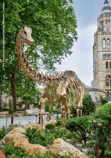 London: Natural History Museum Guided Tour & Afternoon Tea - Who should book this experience?
