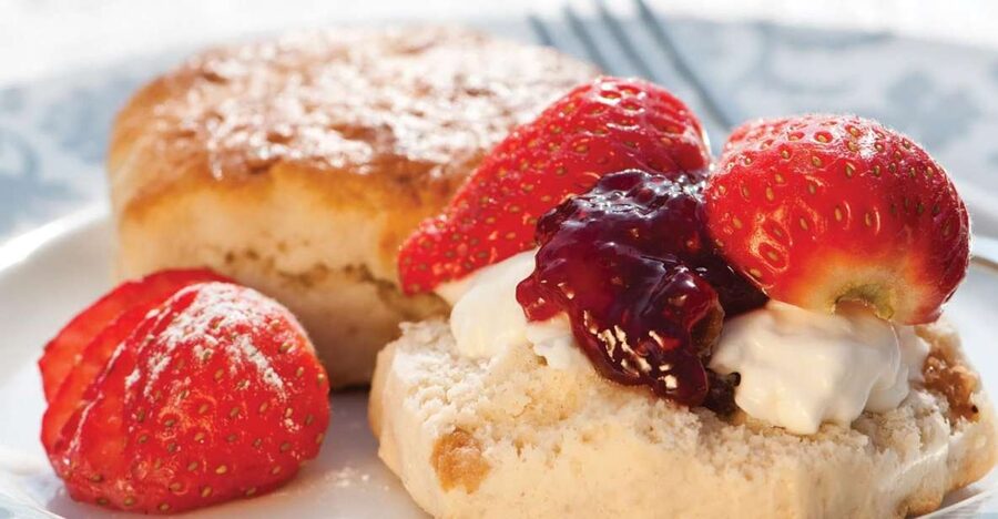 London Vintage Bus Tour and Cream Tea at Harrods - Who should book this London tour?