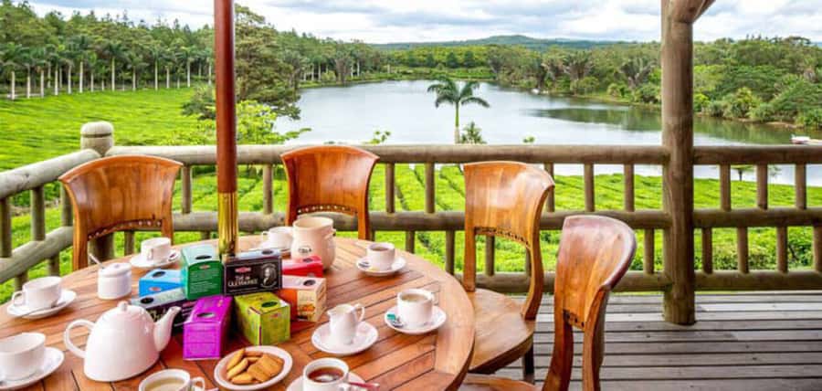 Mauritius: Crocodile Park and Tea Factory Tour with Tasting - Starting at Bois Chéri, Mauritius’s tea pioneer