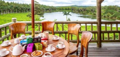 Mauritius: Tea and Sugar Plantation Guided Tour with Lunch