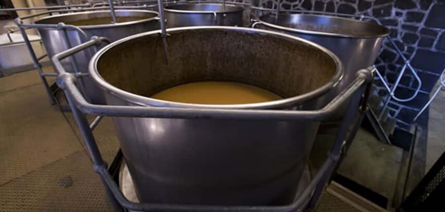 Mauritius: Tea and Sugar Plantation Guided Tour with Lunch - Should you book the Mauritius tea and sugar plantation tour?