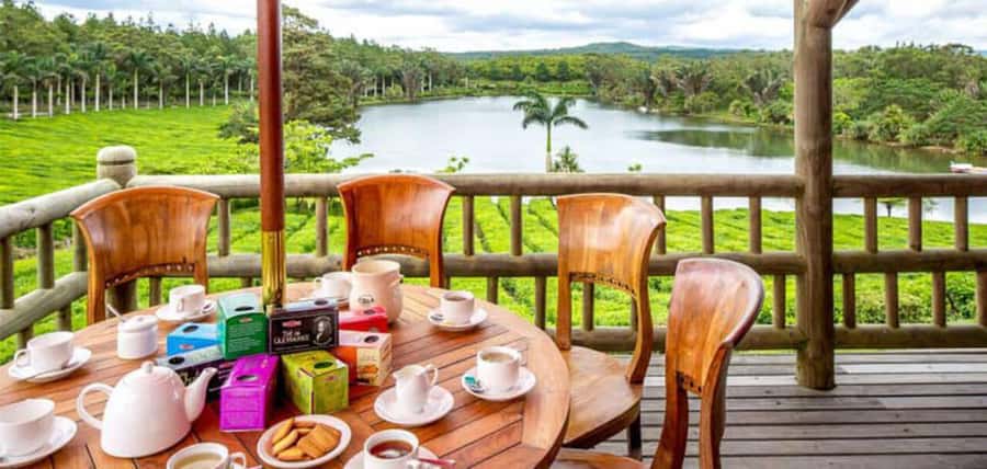 Mauritius: Tea and Sugar Plantation Guided Tour with Lunch - Bois Chéri makes tea the main event