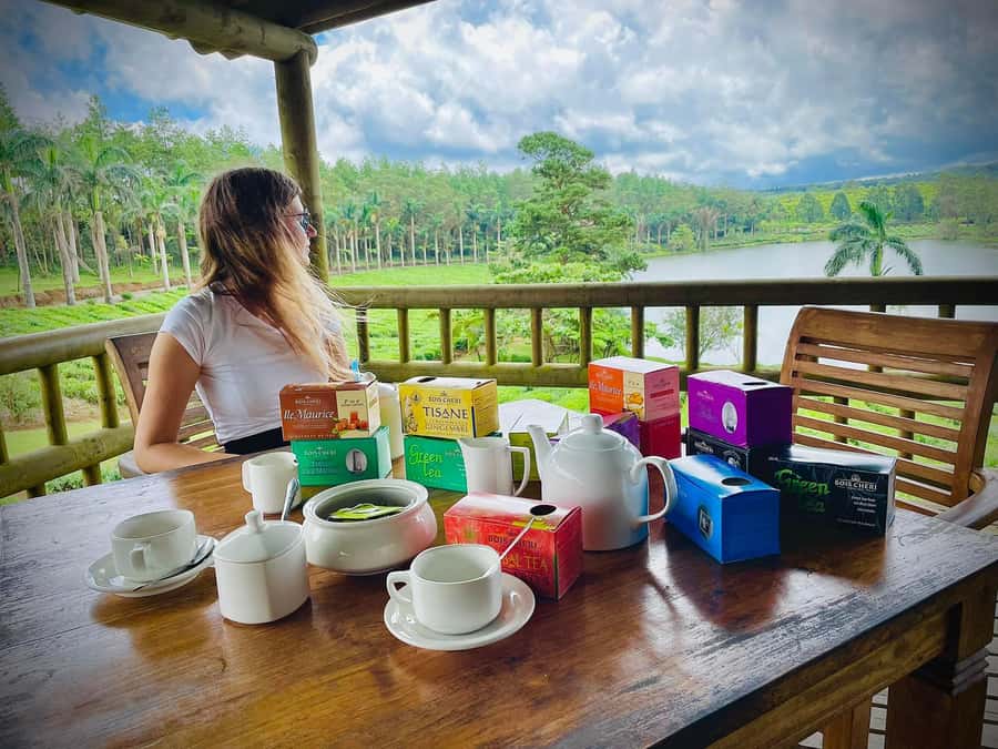 Mauritius: Tea, Rum and Vanilla Route with Lunch and Pickup - Le Domaine des Aubineaux and the 1872 mansion